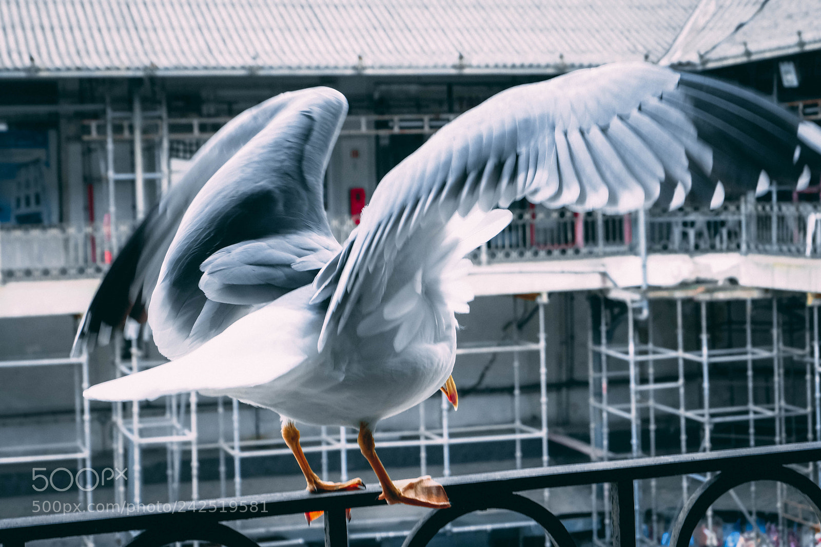 Fujifilm X-T20 sample photo. Flight photography