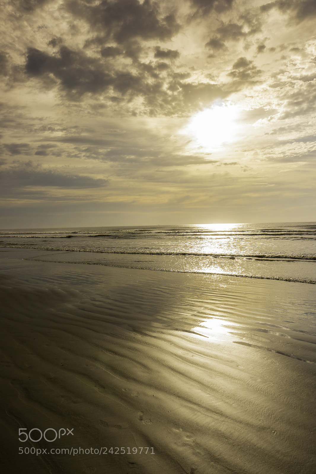 Sony Alpha NEX-7 sample photo. Dsc photography