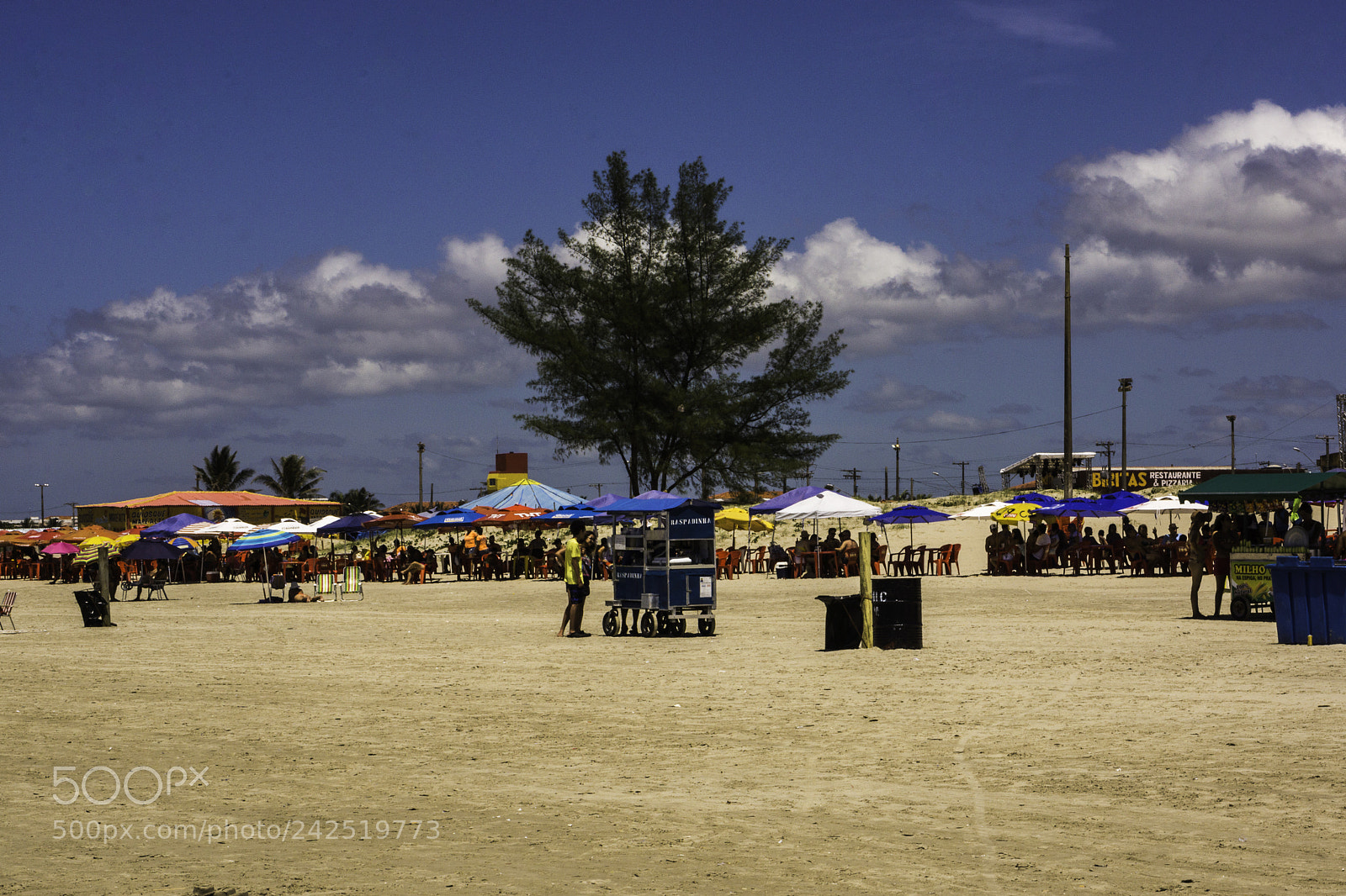 Sony Alpha NEX-7 sample photo. Dsc photography