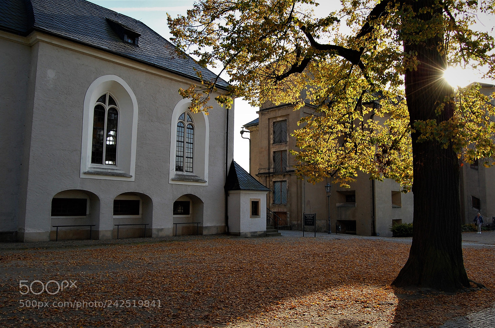 Nikon D40 sample photo. ...autumn ray... photography