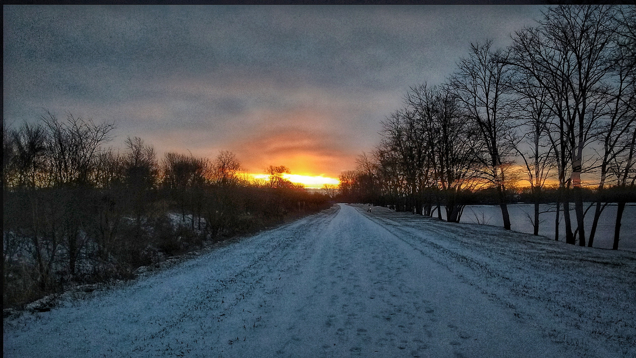 Motorola Moto E with 4G LTE (2nd Gen) sample photo. Sunrise on path photography