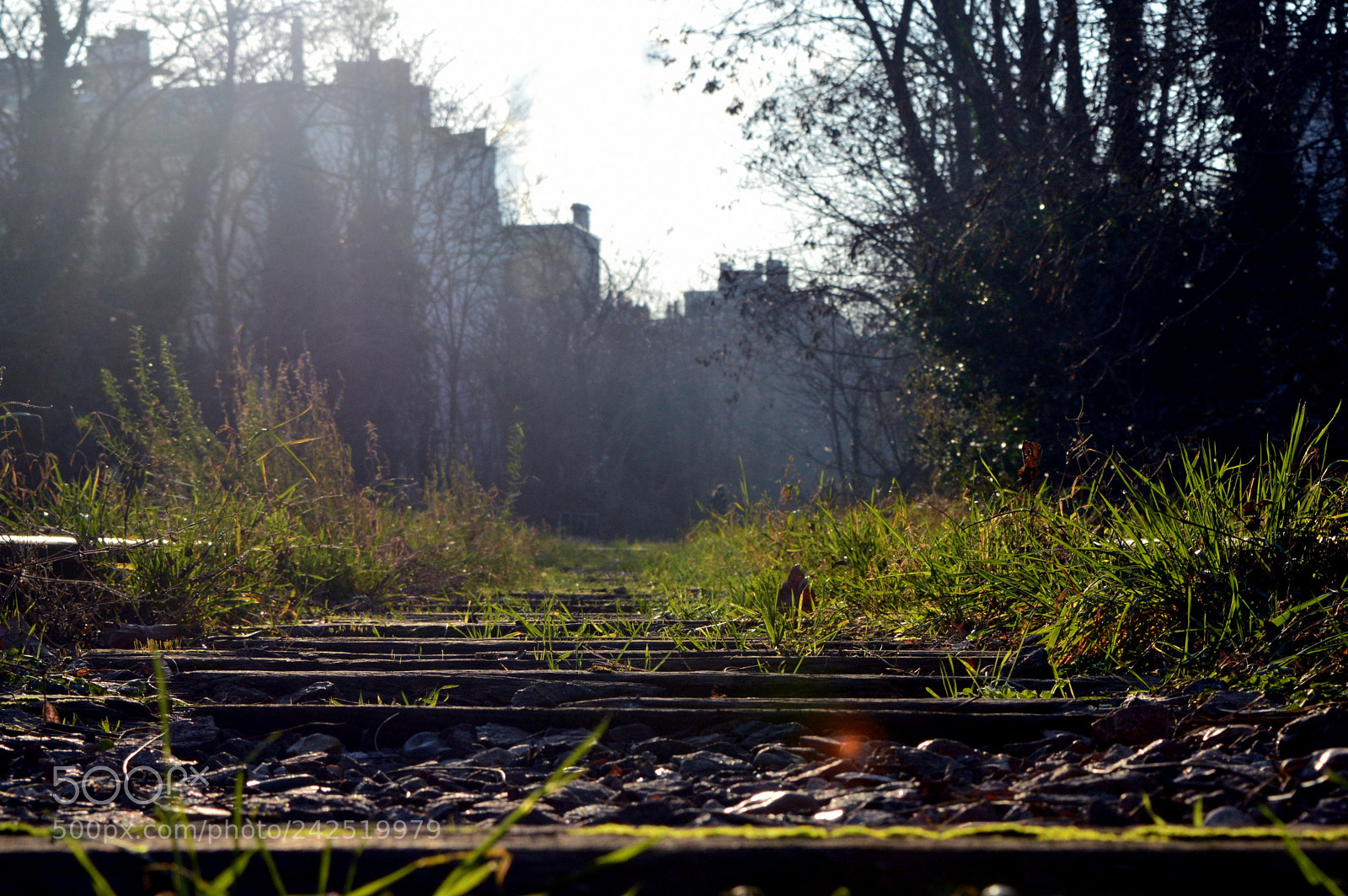 Nikon D3200 sample photo. The green railway photography