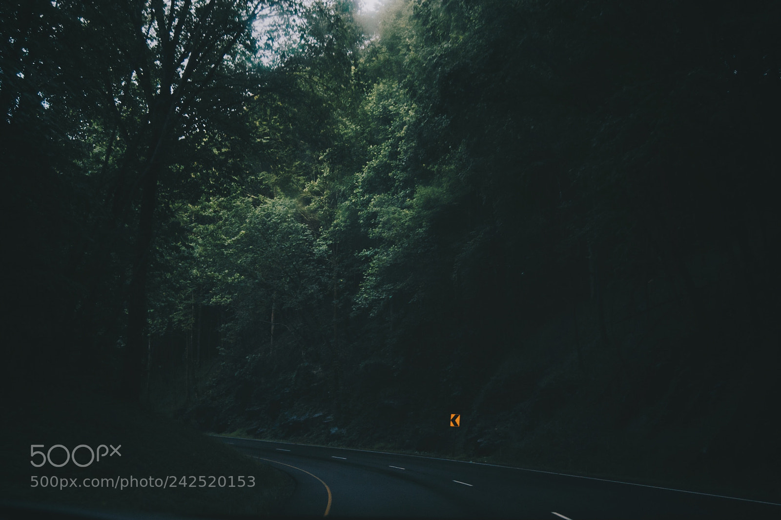 Nikon D3100 sample photo. Moody rainy roads call photography