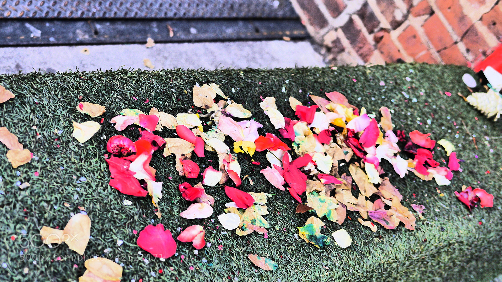 Panasonic Lumix DMC-GH3 sample photo. Petals photography