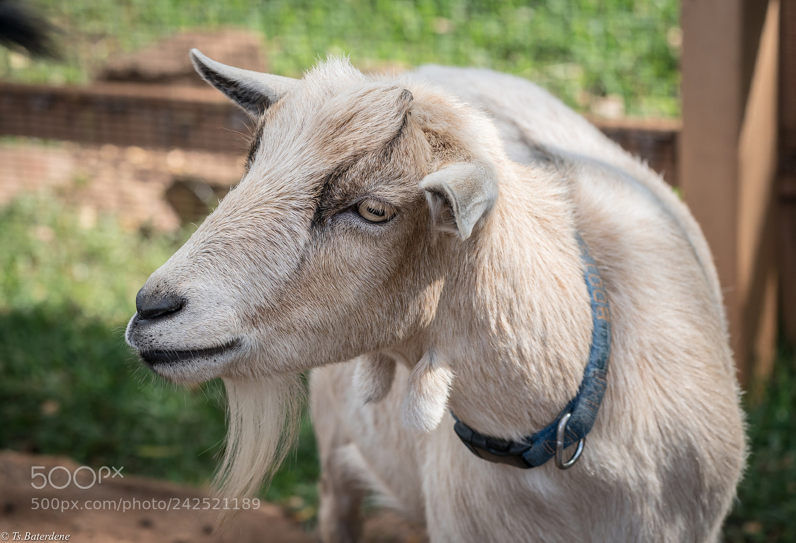 Sony a9 sample photo. Sa photography