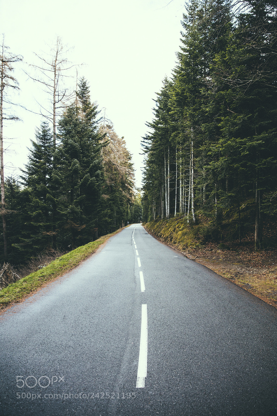 Canon EOS 5DS R sample photo. Road photography