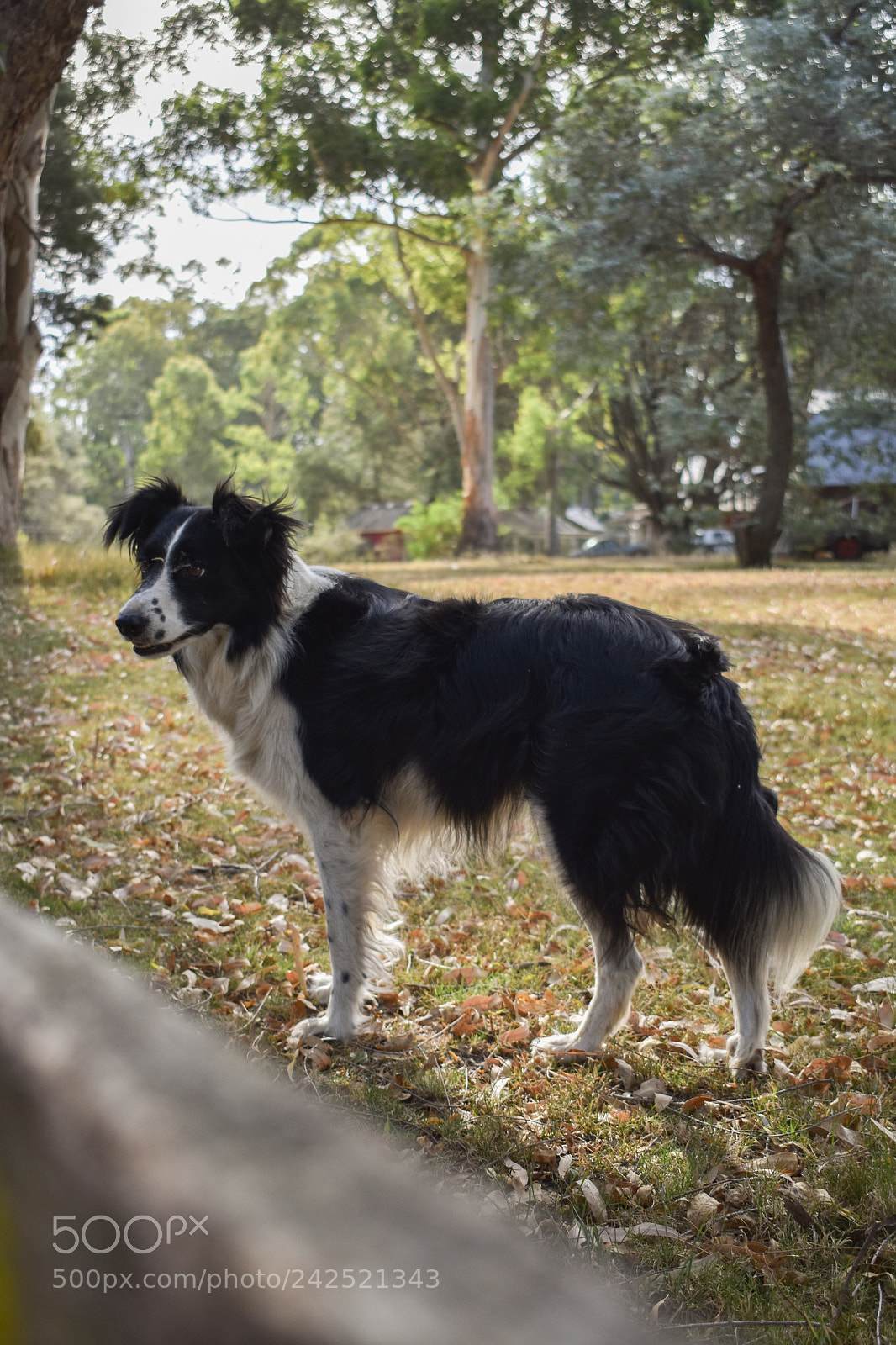 Nikon D3400 sample photo. Untitled photography