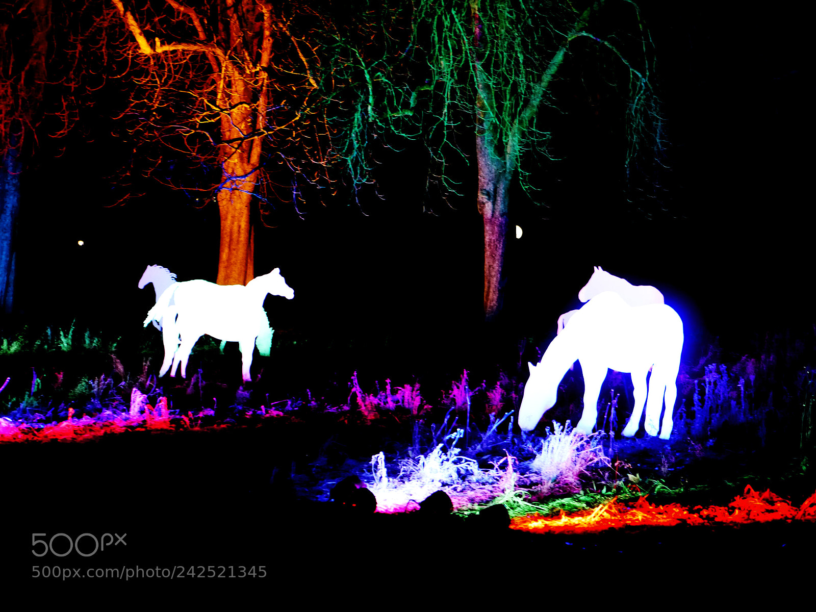 Panasonic Lumix DMC-G5 sample photo. White horses of light photography