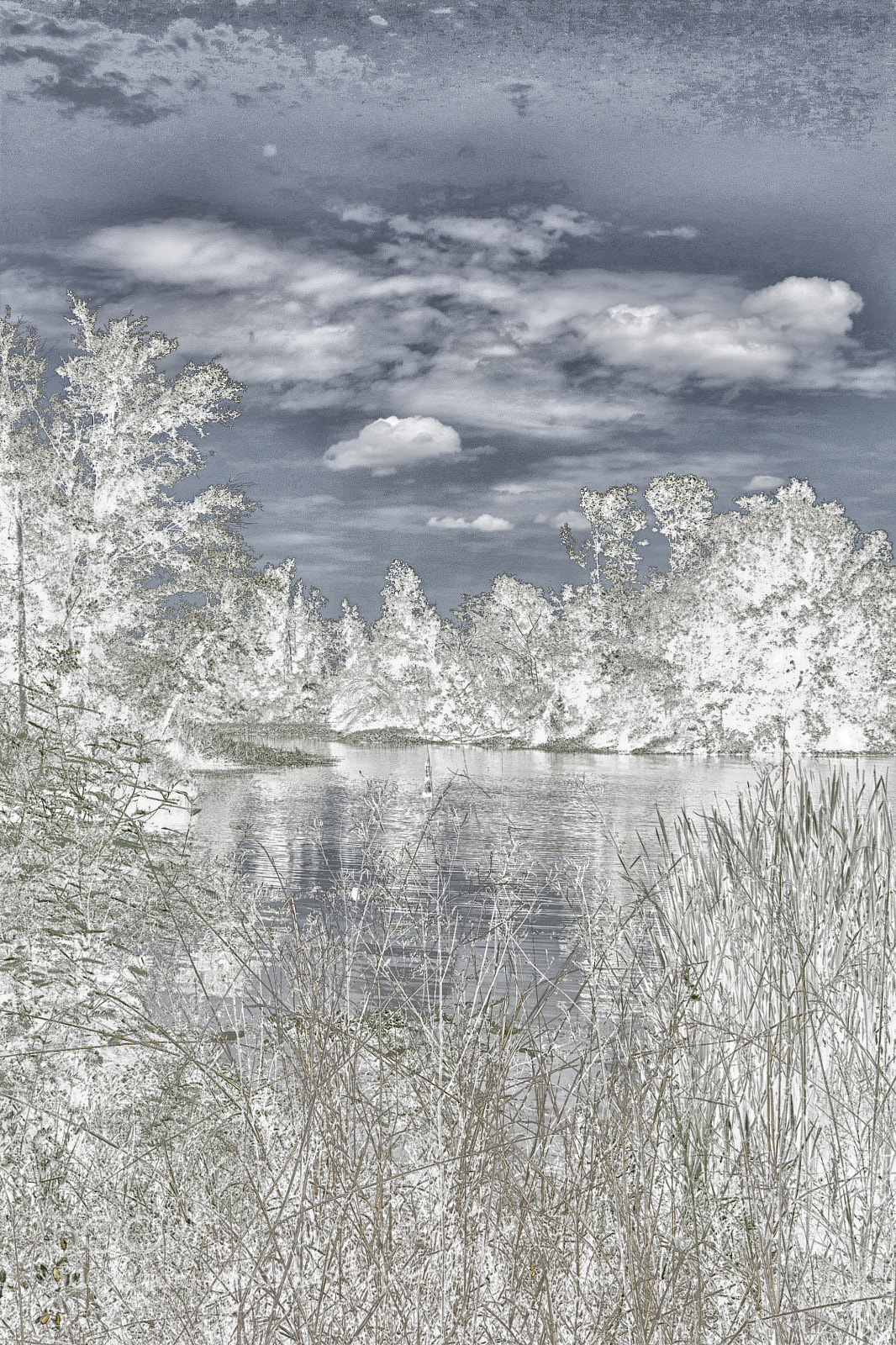Canon EOS 1100D (EOS Rebel T3 / EOS Kiss X50) sample photo. A cold winter's reflection photography