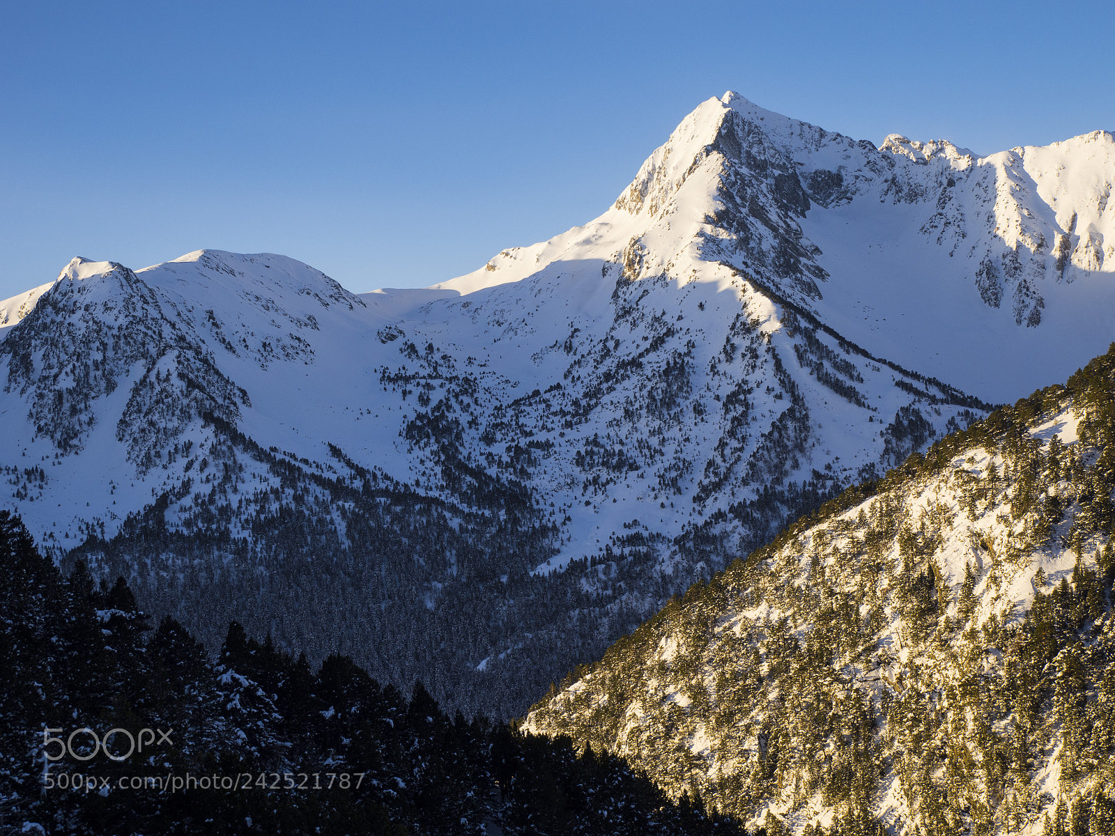 Olympus OM-D E-M10 II sample photo. Mountain light photography