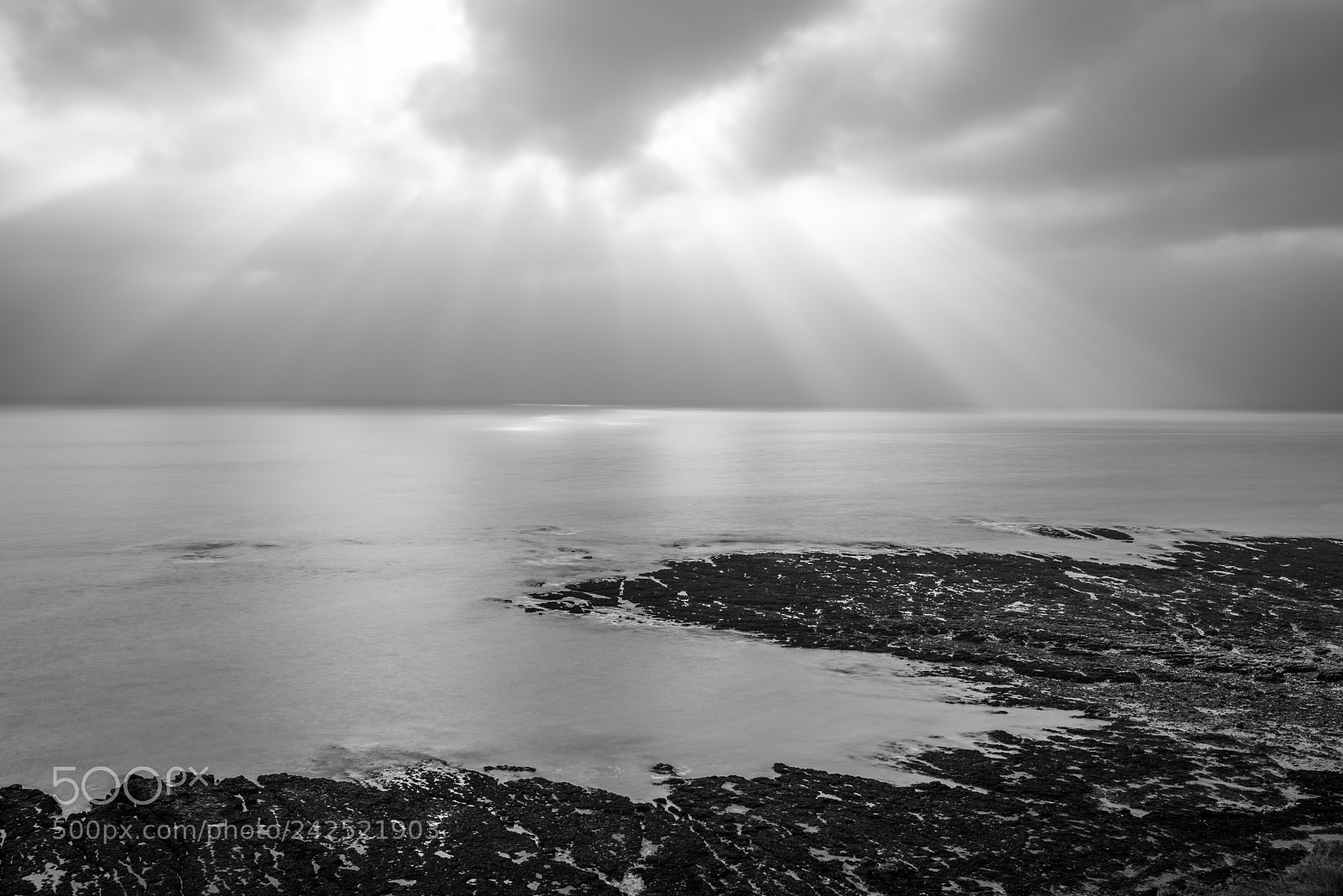 Nikon D810 sample photo. Rays photography