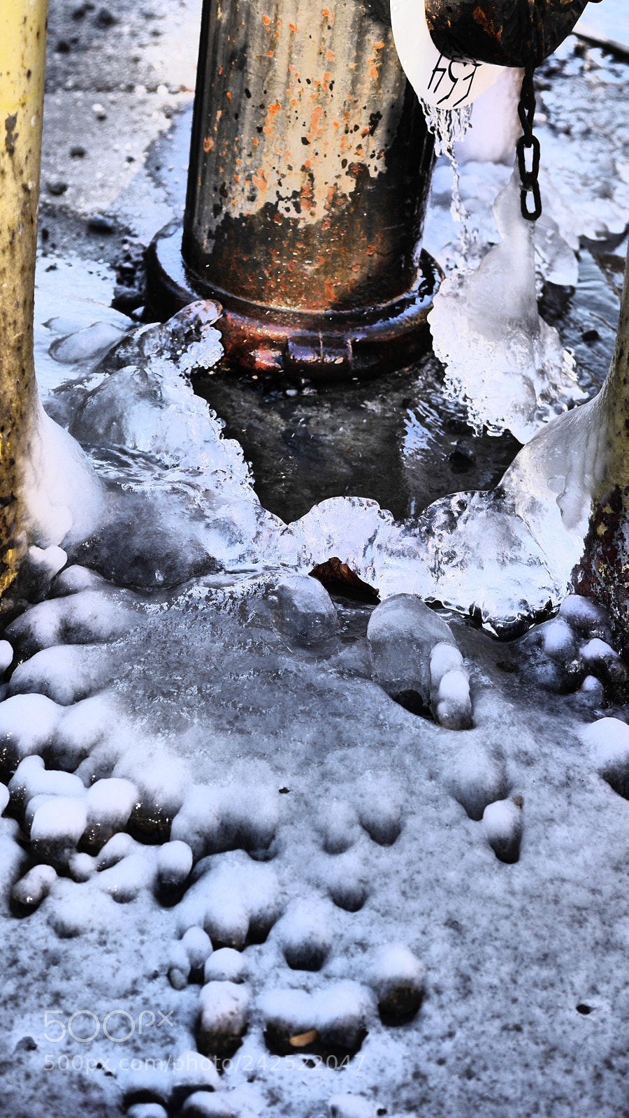 Panasonic Lumix DMC-GH3 sample photo. Frozen 2 photography