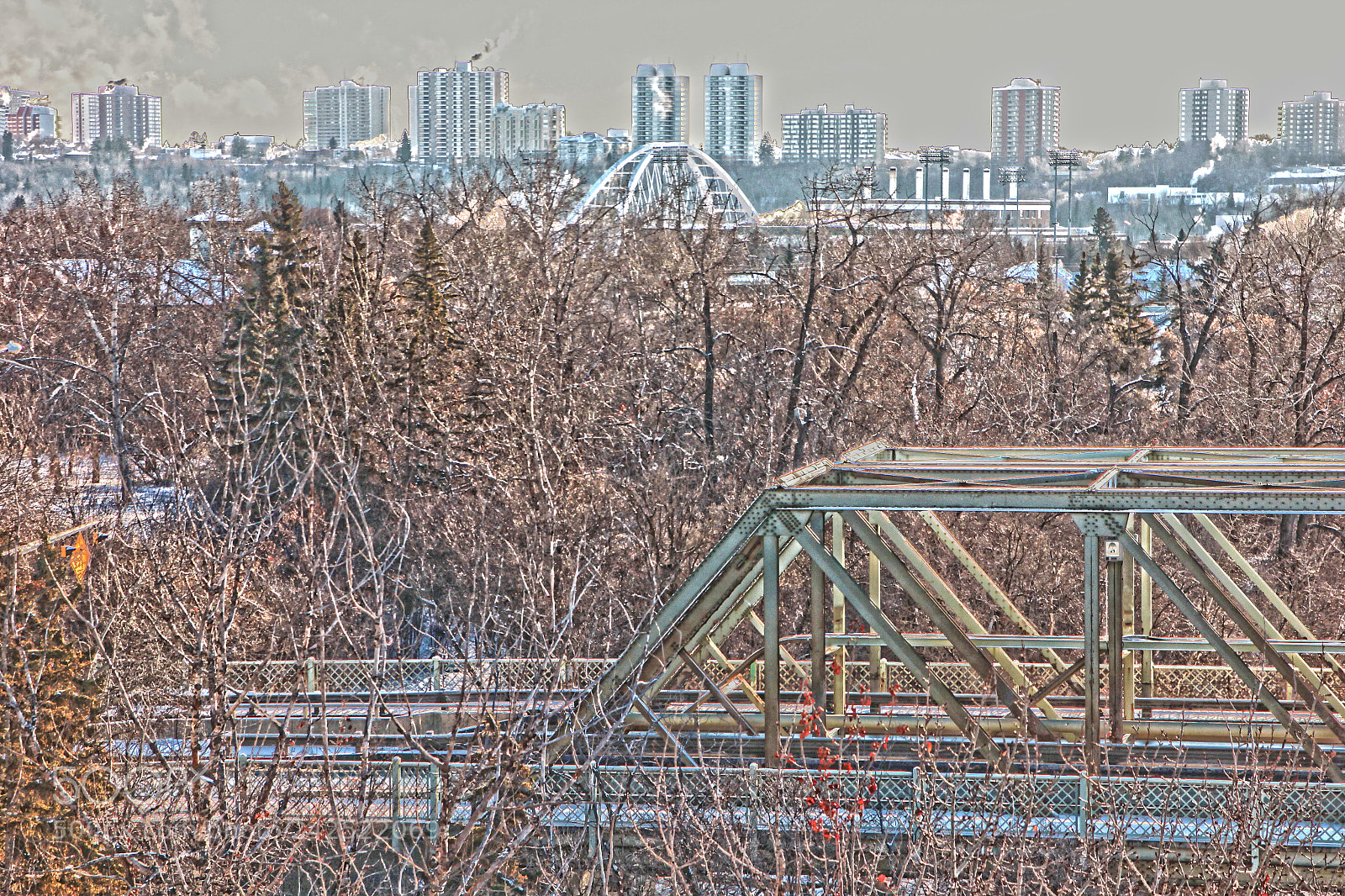Canon EOS 550D (EOS Rebel T2i / EOS Kiss X4) sample photo. Bush hdr mirror photography
