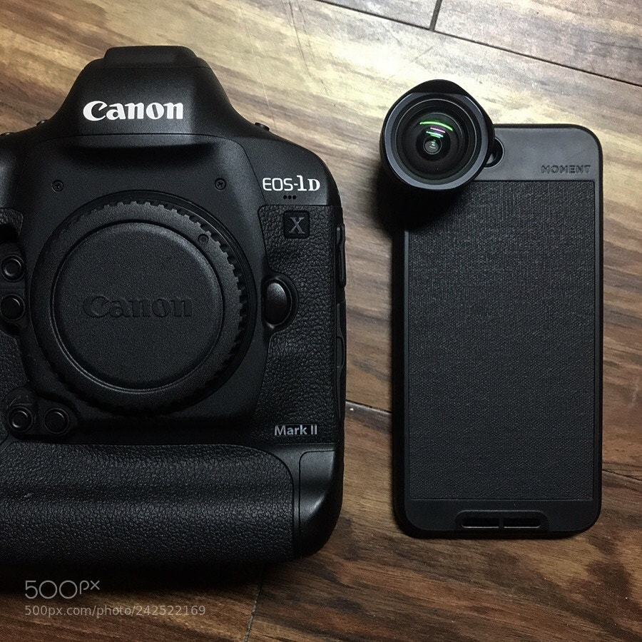 Apple iPhone 7 Plus sample photo. My canon 1dx mark photography
