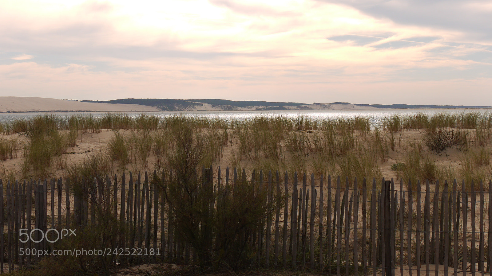 Panasonic Lumix DMC-GF1 sample photo. Dunes du bassin d'archachon photography