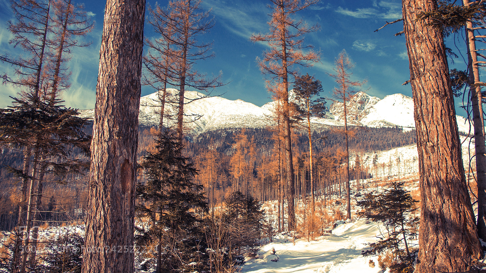 Canon EOS 650D (EOS Rebel T4i / EOS Kiss X6i) sample photo. Hightatras photography