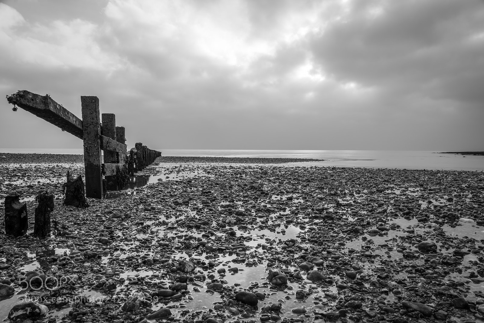 Nikon D810 sample photo. To the sea photography
