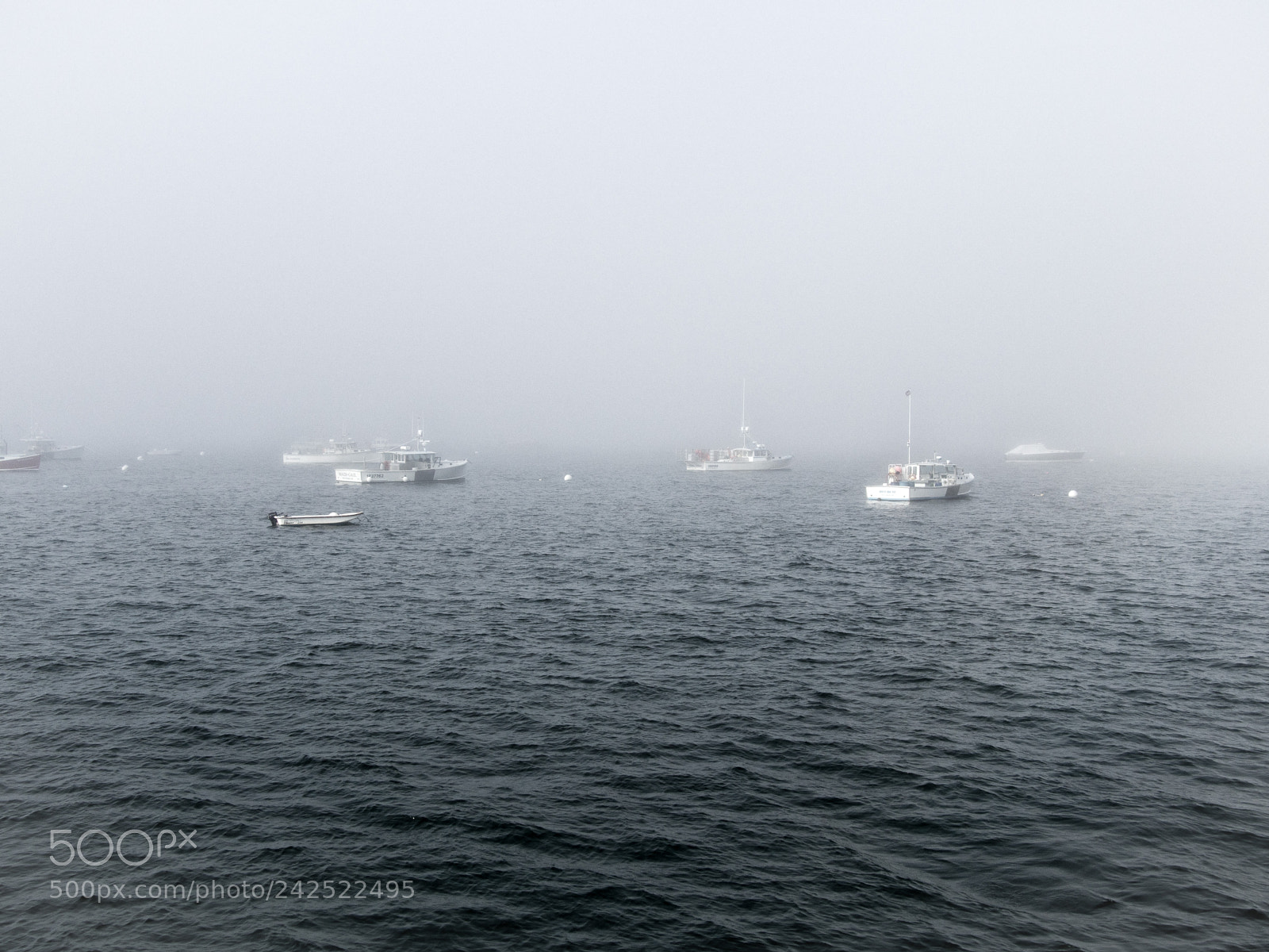 Olympus OM-D E-M5 sample photo. Foggy harbor (color) photography