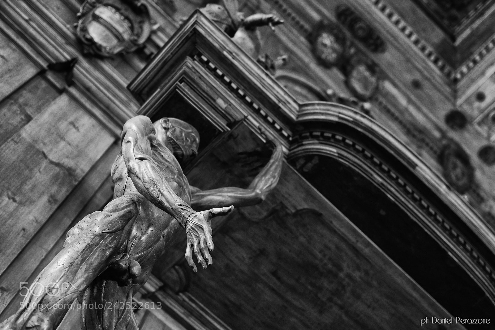 Nikon D7100 sample photo. The anatomy theatre photography