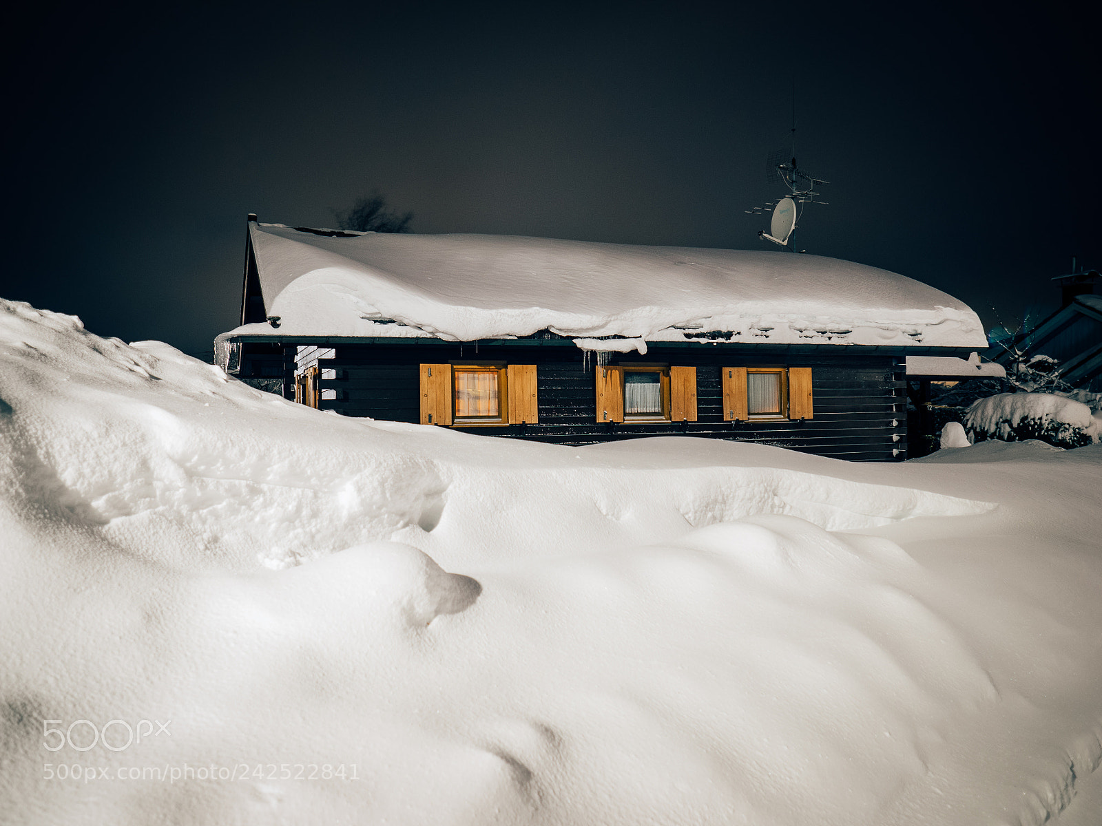 Olympus OM-D E-M1 sample photo. Snowed in photography