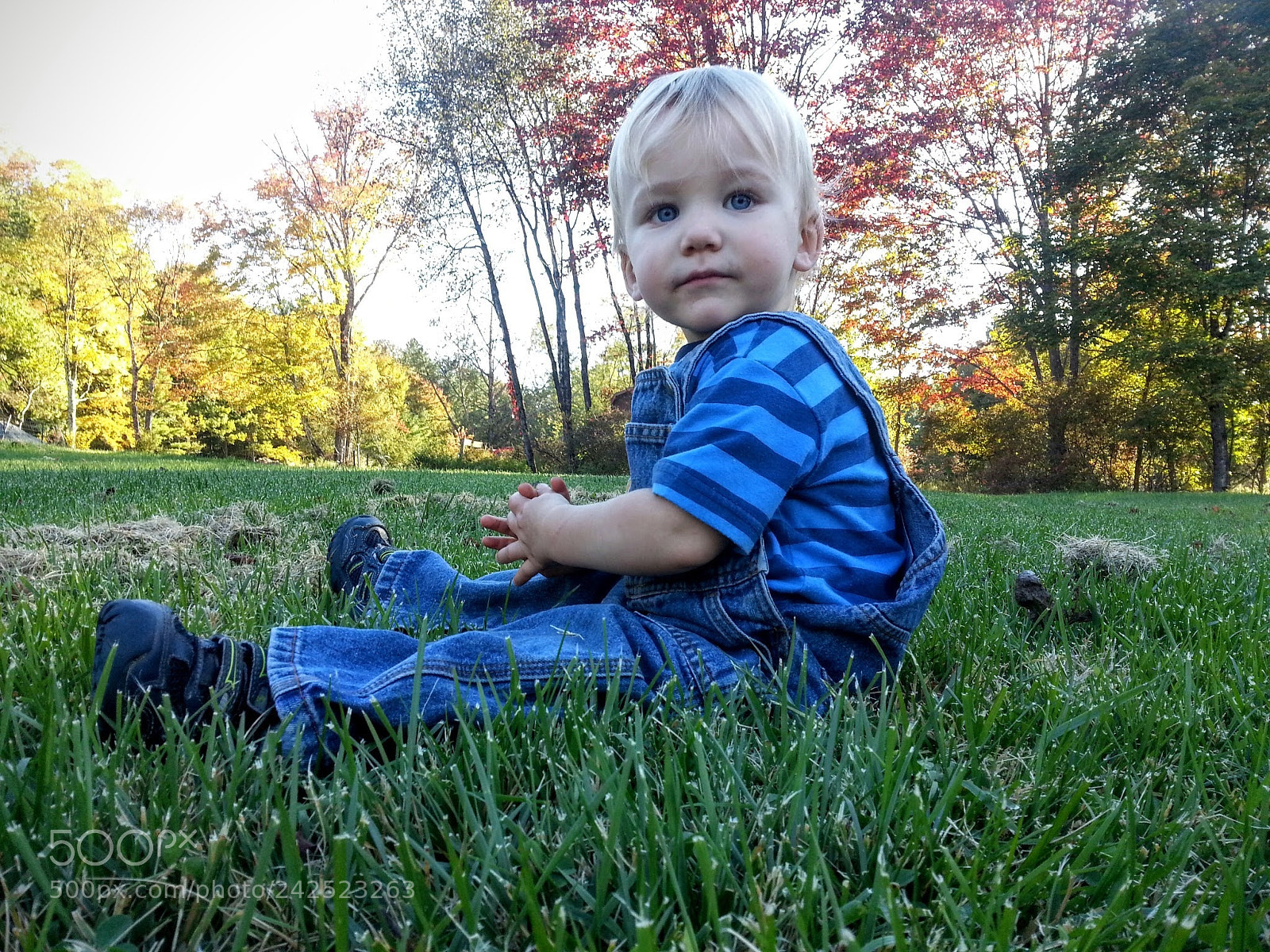 Samsung Galaxy S3 sample photo. Untitled photography