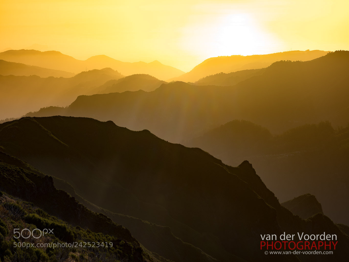 Fujifilm GFX 50S sample photo. Madeira impressionen photography