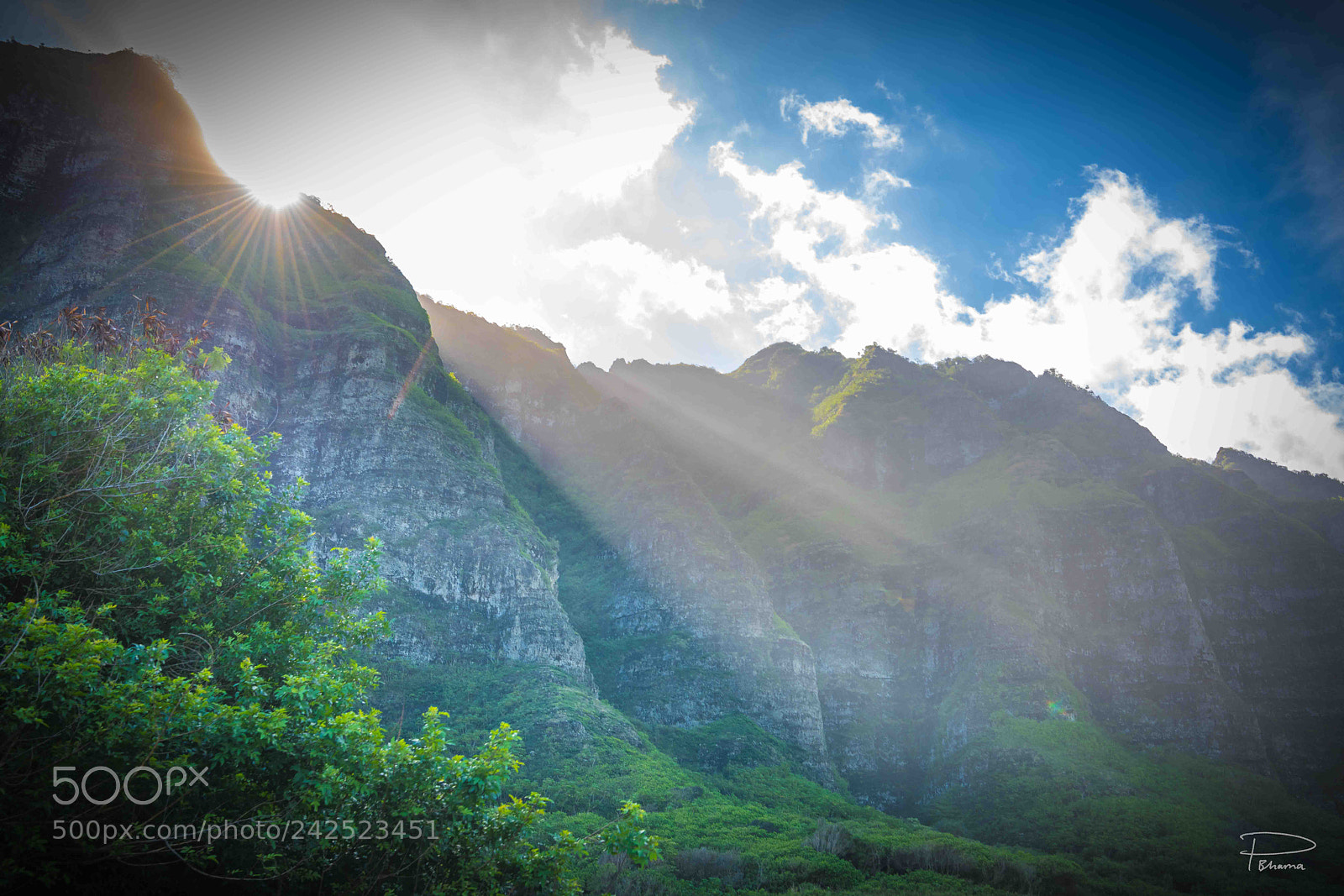 Nikon D850 sample photo. Valley photography