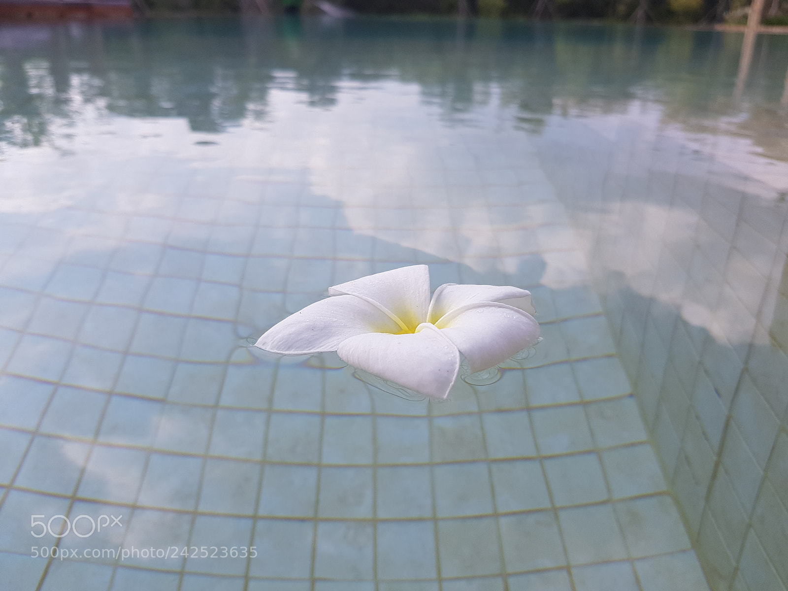 Samsung Galaxy S8+ sample photo. Untitled photography