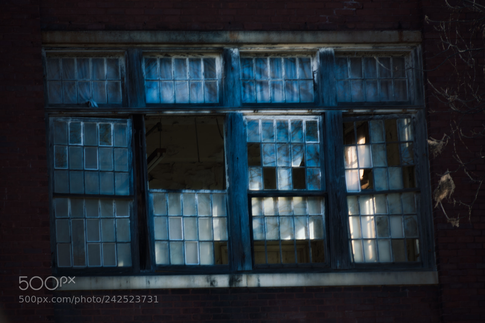 Nikon D600 sample photo. Broken asylum windows photography