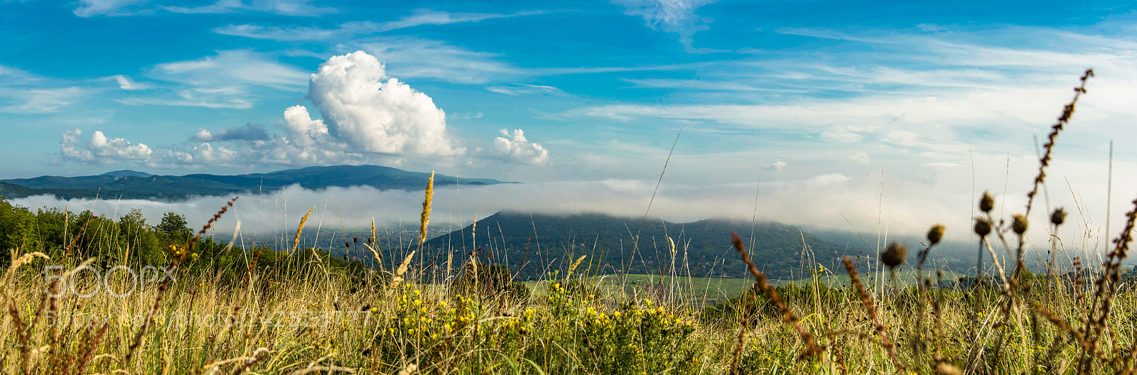 Nikon D7200 sample photo. Happy september photography