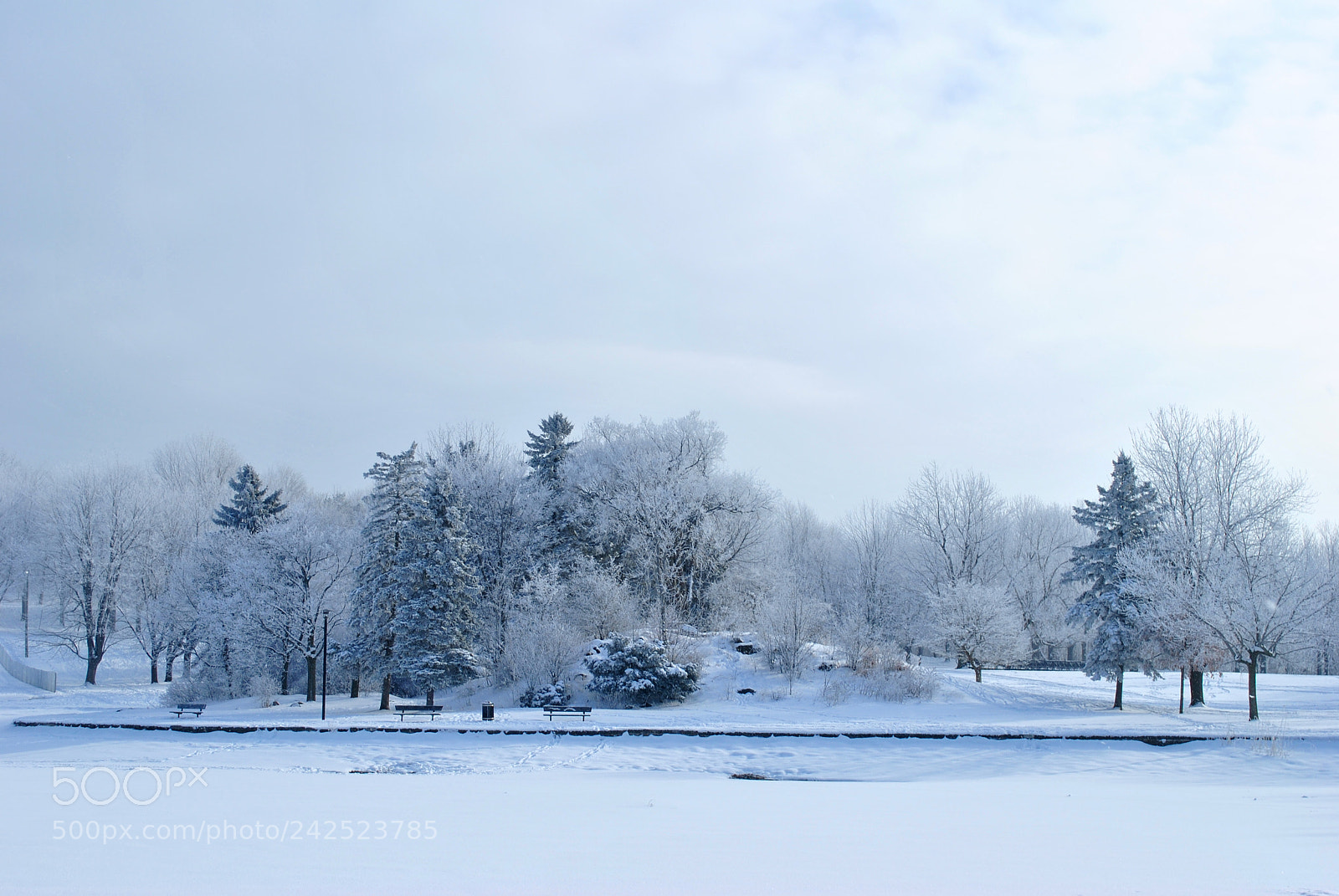 Nikon D3000 sample photo. White winter photography