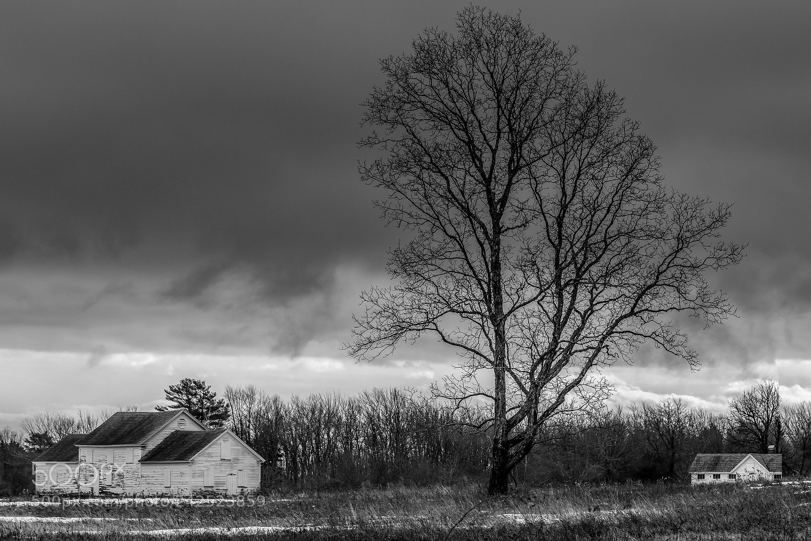 Pentax K-1 sample photo. Winter at laudholm farm photography