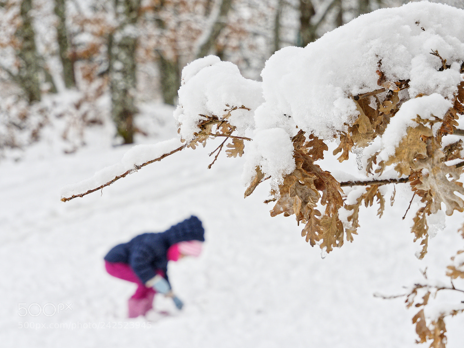 Olympus OM-D E-M10 sample photo. Playing in the cold photography