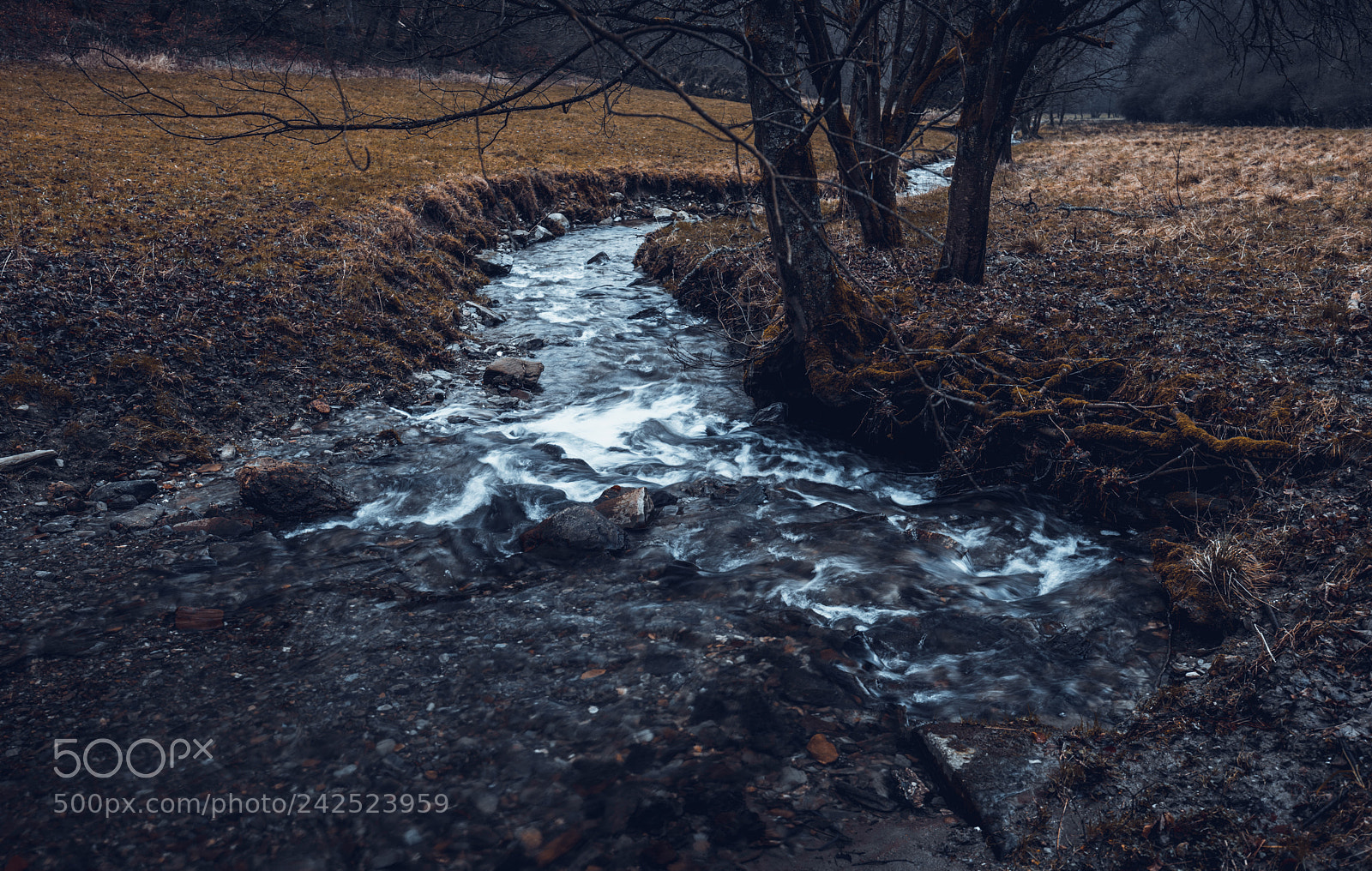 Canon EOS 6D Mark II sample photo. Rainy mood photography