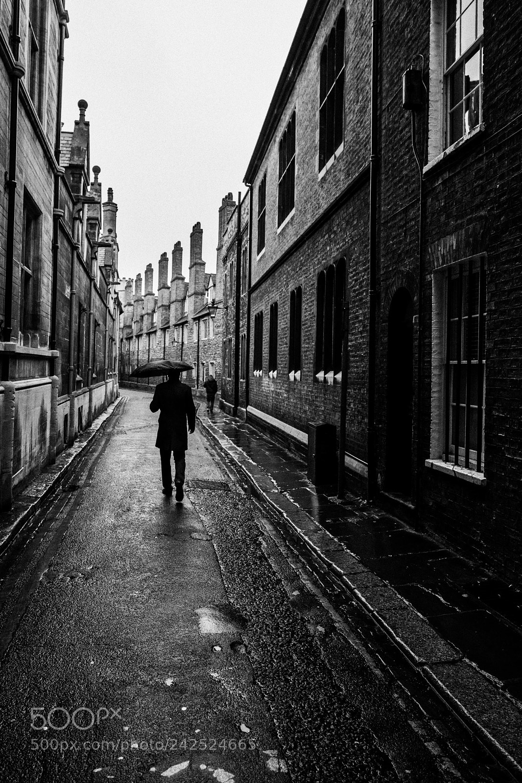 Nikon D850 sample photo. Rainy day photography