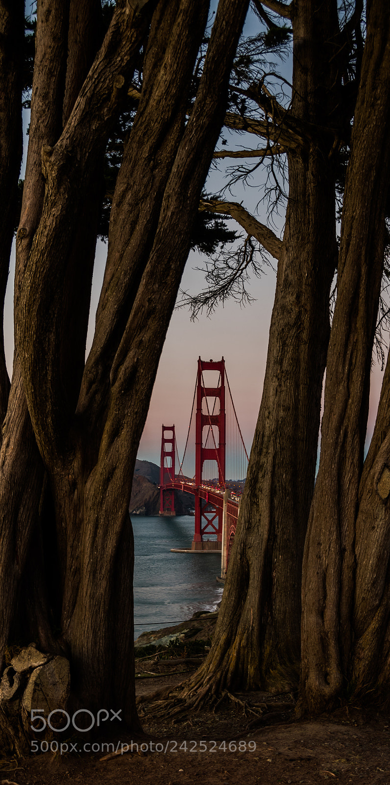 Nikon D7500 sample photo. Golden gate bridge photography