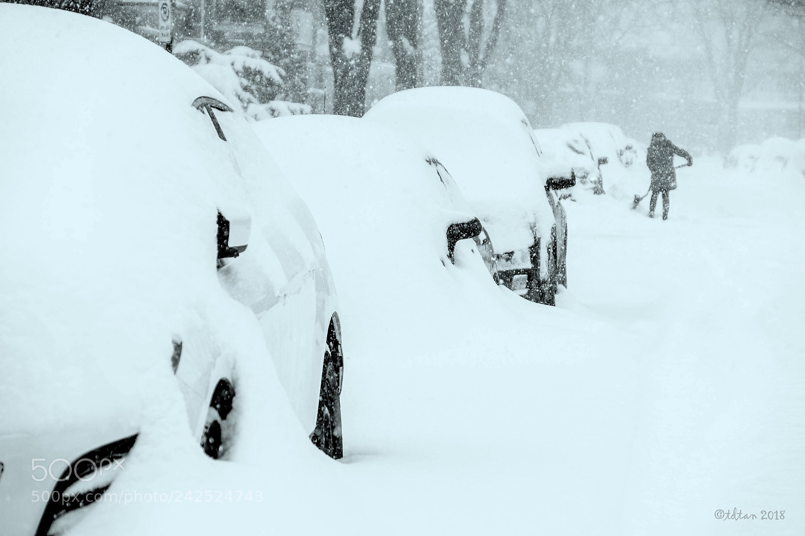 Fujifilm X-T1 sample photo. Winter - snow storm photography