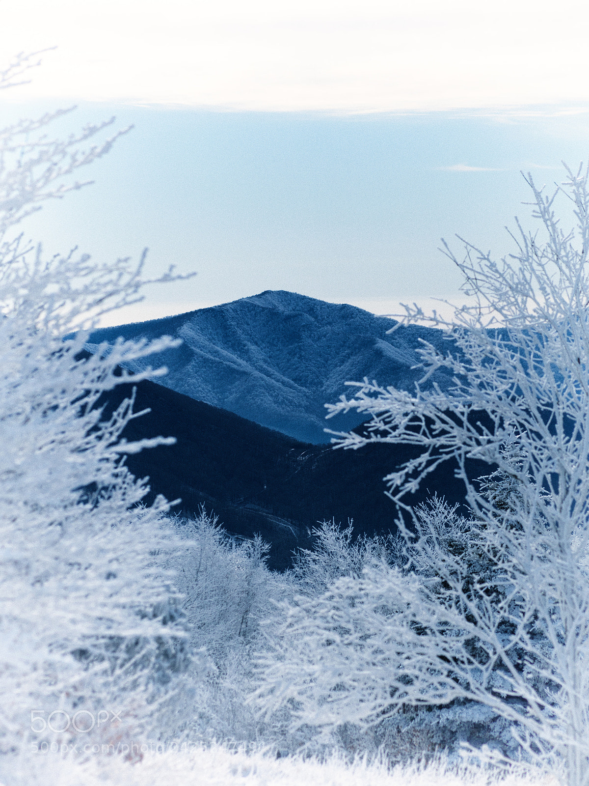 Olympus OM-D E-M5 sample photo. Winter view photography