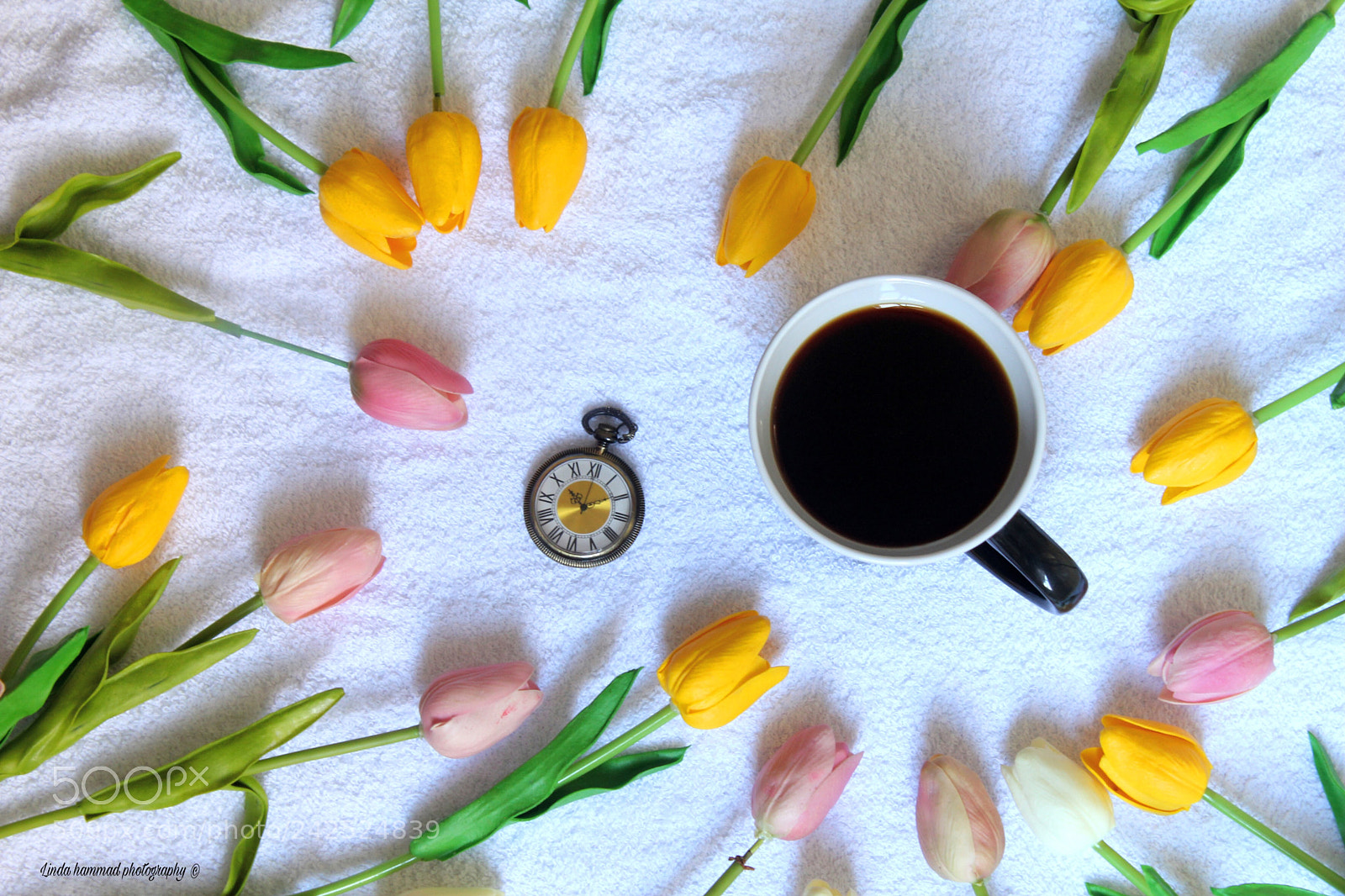 Canon EOS 550D (EOS Rebel T2i / EOS Kiss X4) sample photo. ❤️ photography
