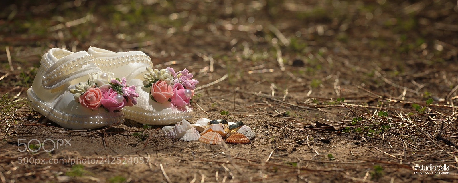 Nikon D700 sample photo. Exciting mom and dad photography