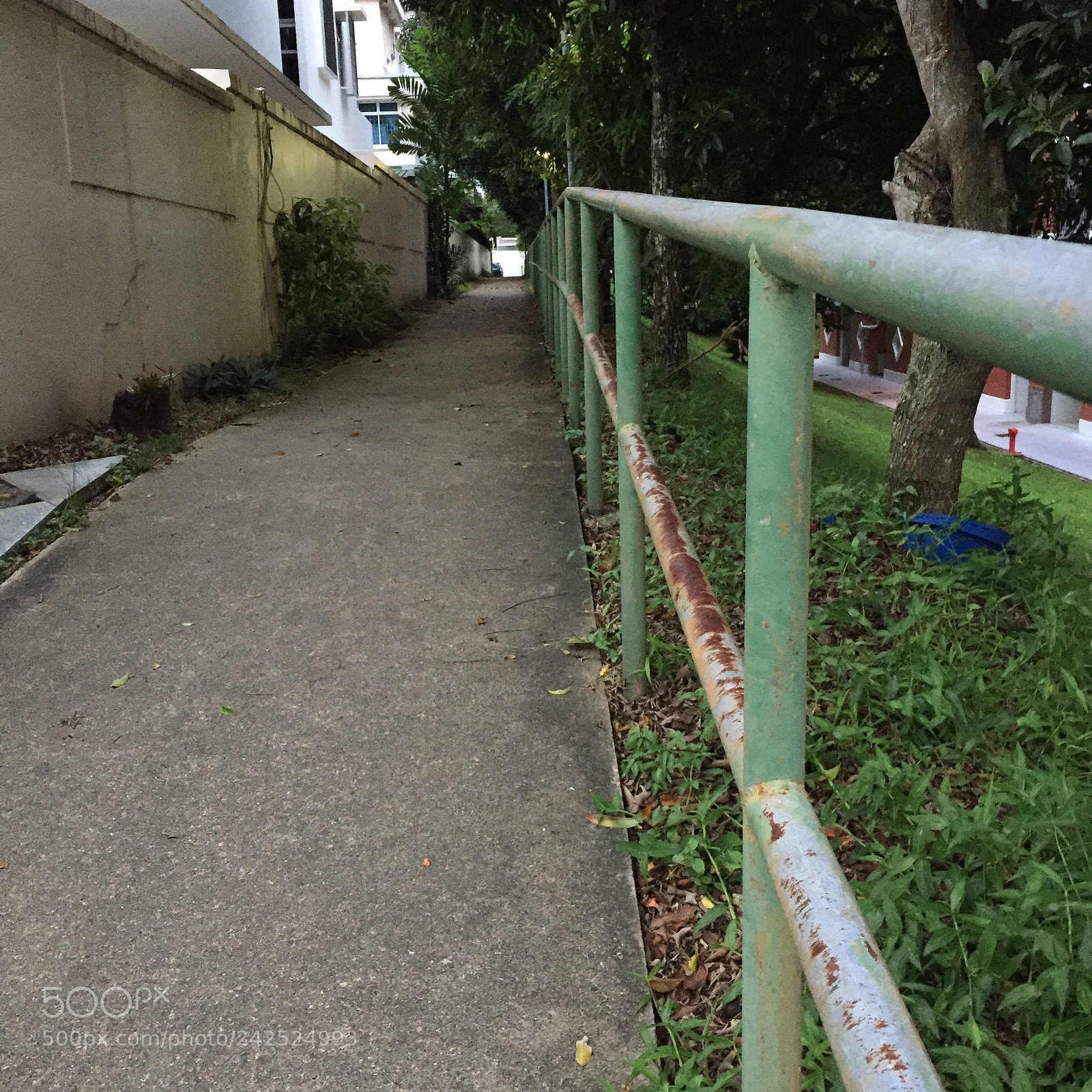 Apple iPhone 6 sample photo. 1 view-point(5) photography