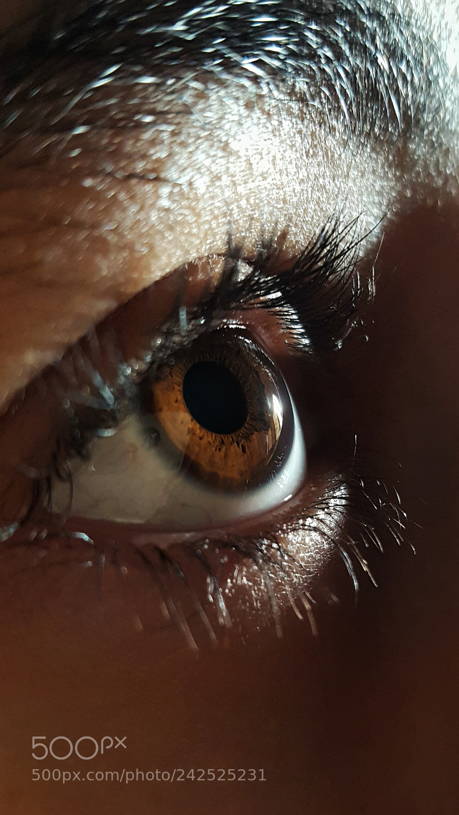 Samsung Galaxy S6 sample photo. The window of the photography