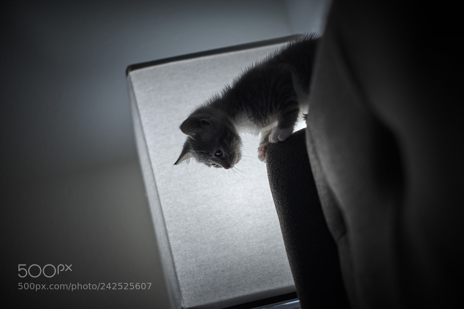 Fujifilm X-T20 sample photo. First jump photography