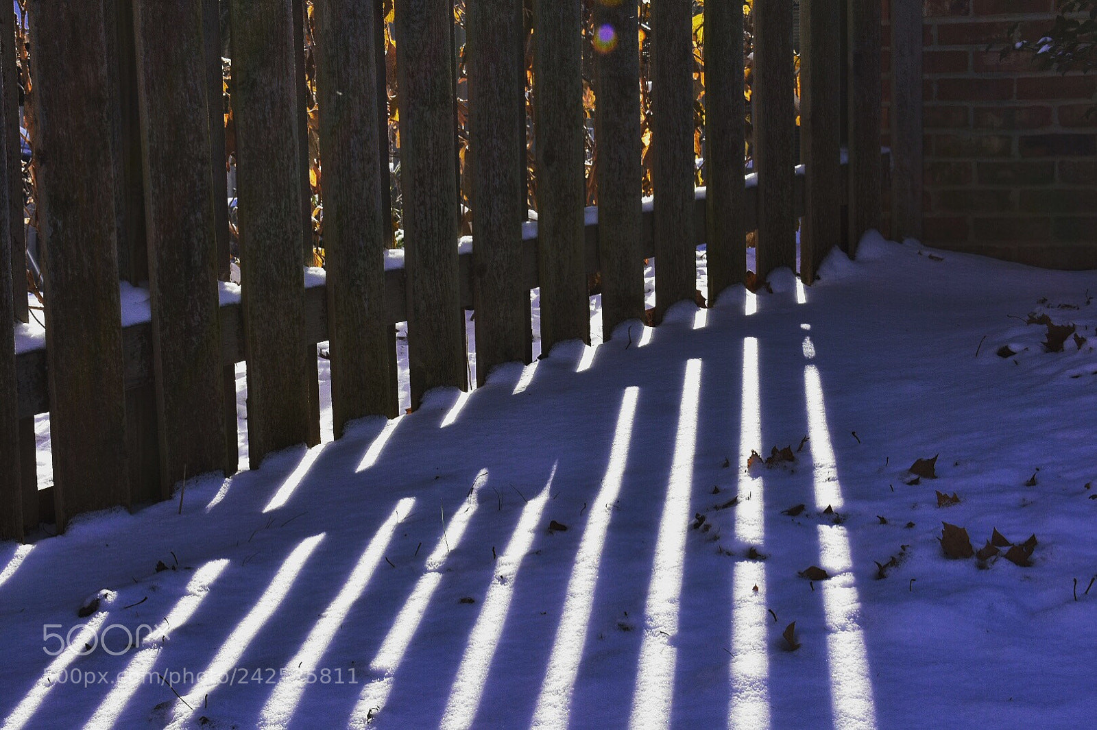 Nikon D3400 sample photo. Snowshadow photography