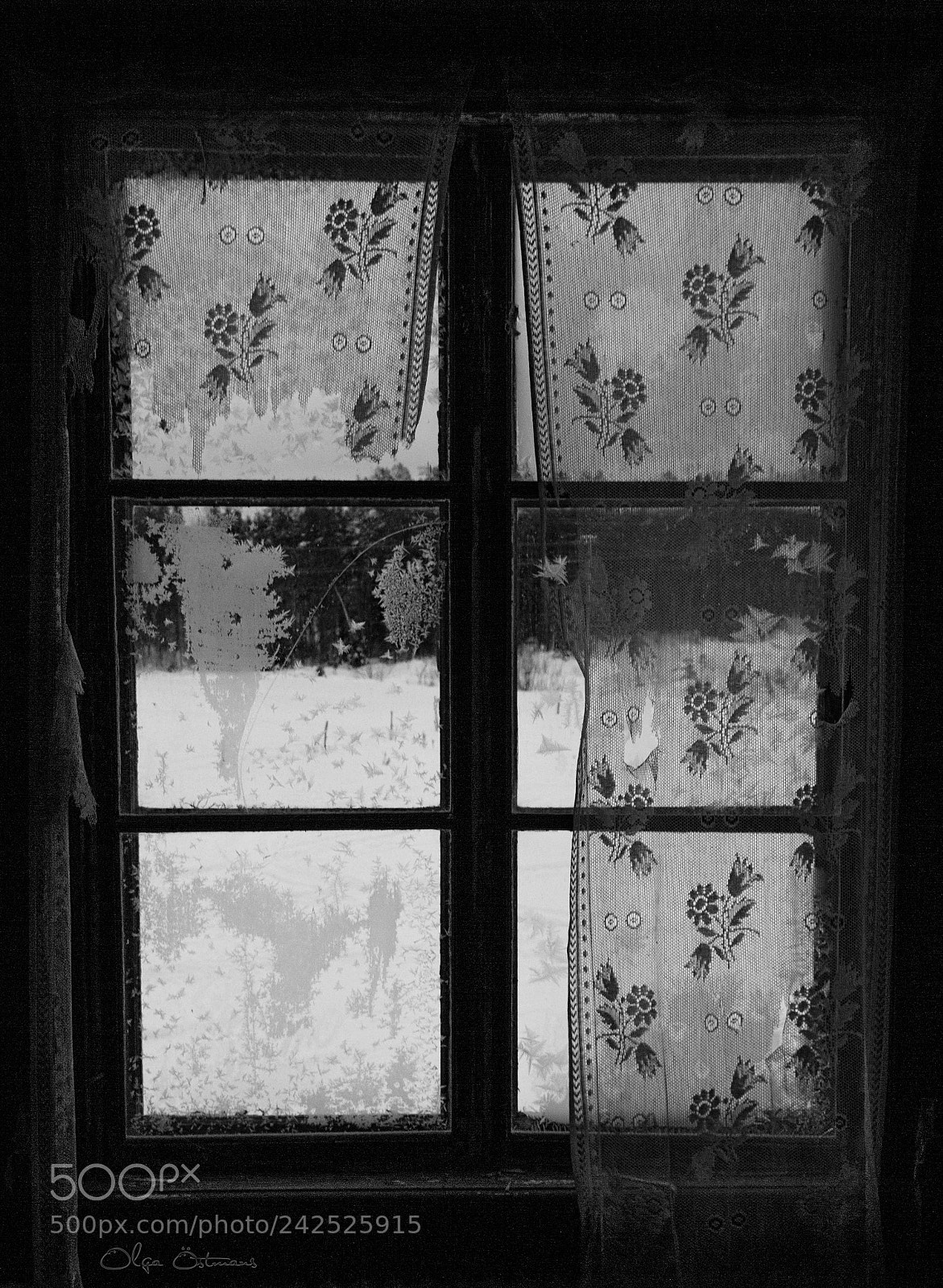 Canon EOS 550D (EOS Rebel T2i / EOS Kiss X4) sample photo. An old window photography