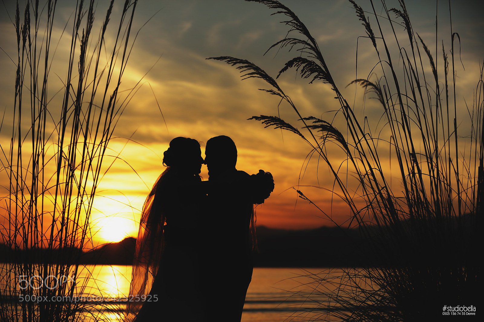 Nikon D700 sample photo. Sunset photography