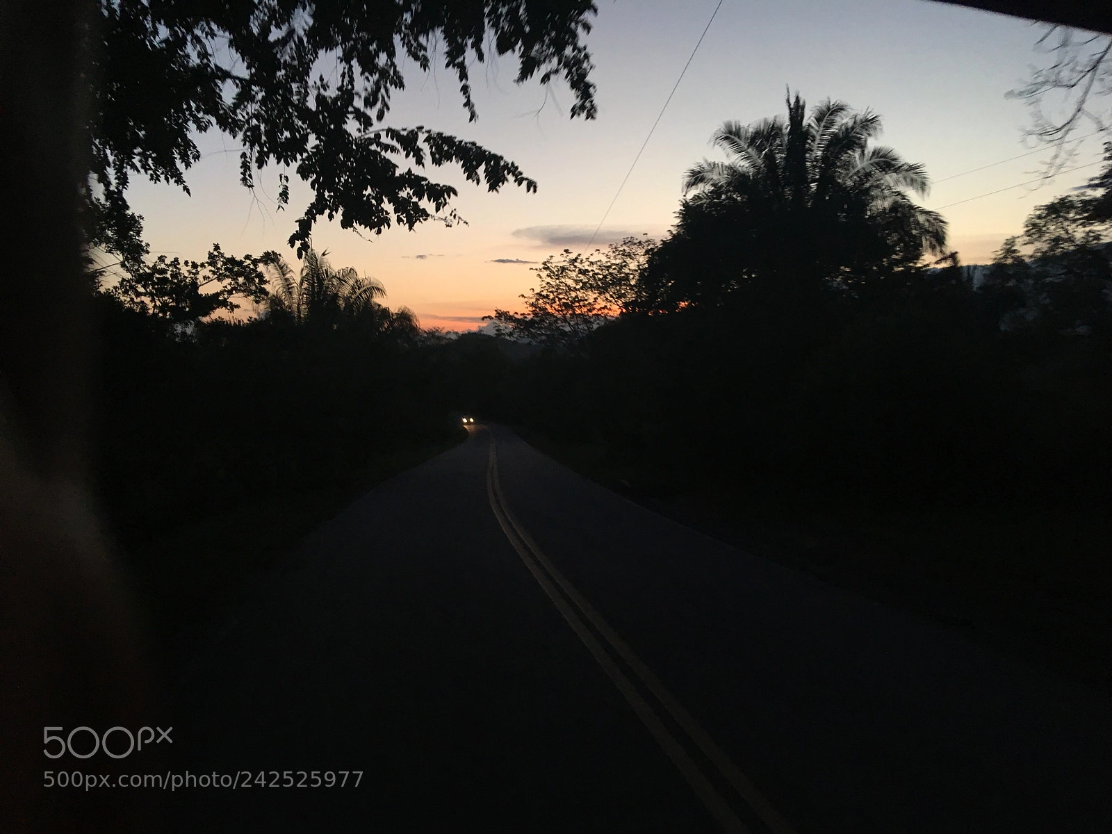 Apple iPhone SE sample photo. Untitled photography
