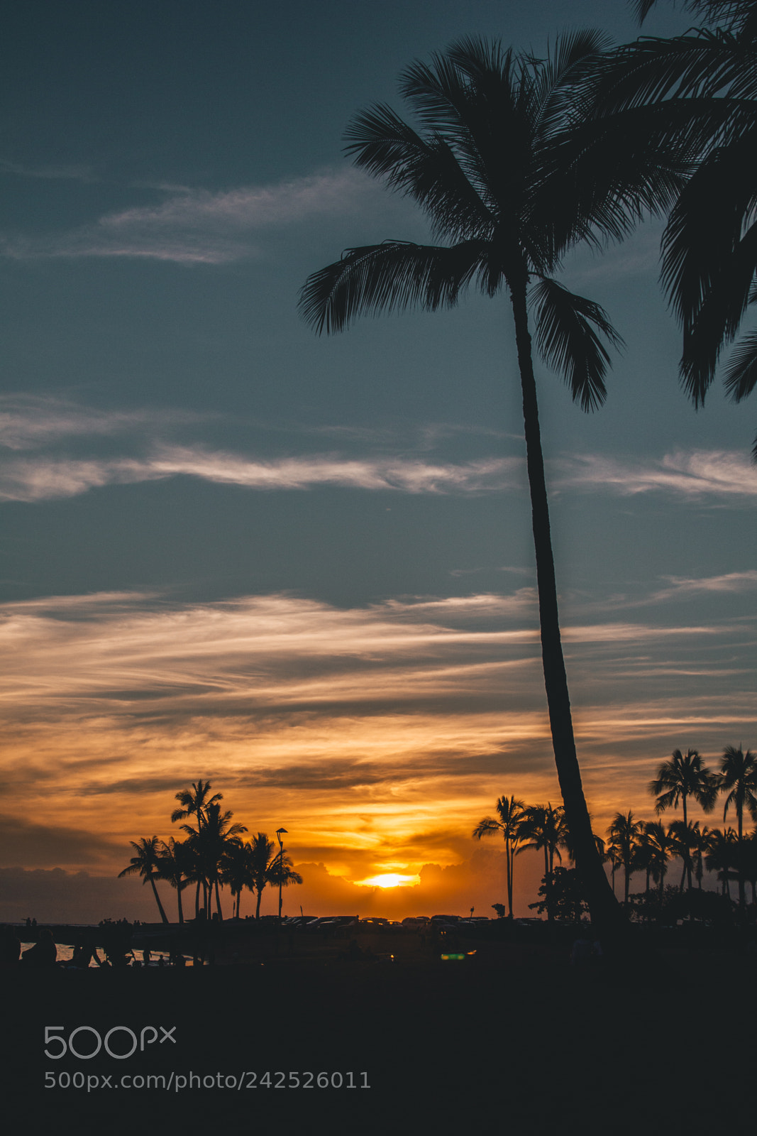 Canon EOS 550D (EOS Rebel T2i / EOS Kiss X4) sample photo. Waikiki beach sunset, honolulu photography