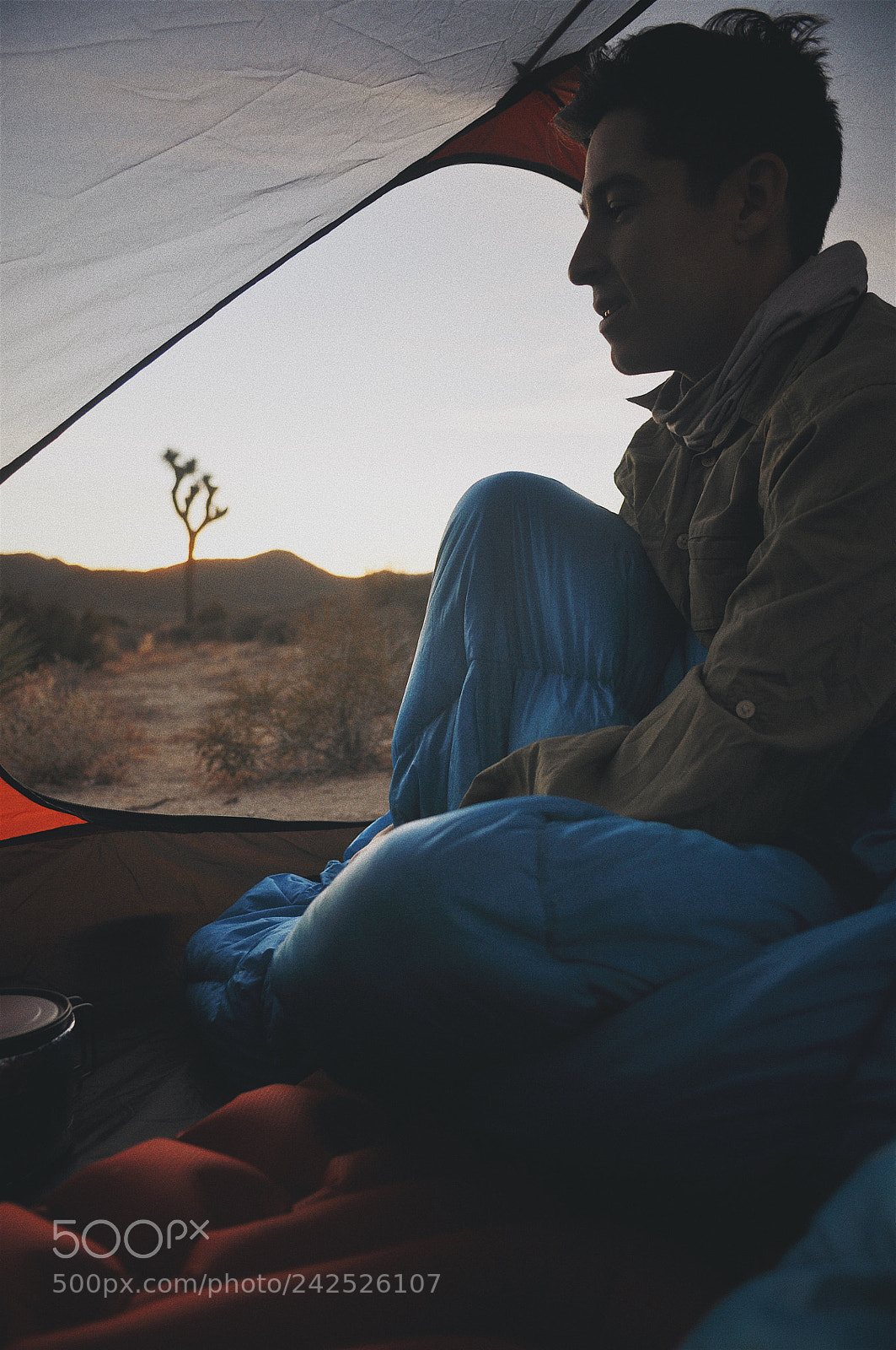 Nikon D90 sample photo. Sunrise in joshua tree photography