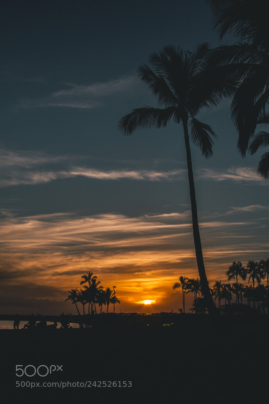 Canon EOS 550D (EOS Rebel T2i / EOS Kiss X4) sample photo. Waikiki beach sunset, honolulu photography